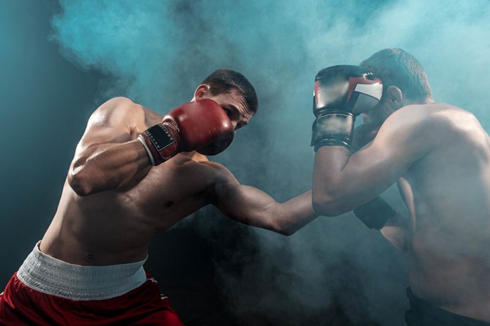 Ring pour la boxe: où trouver la qualité?